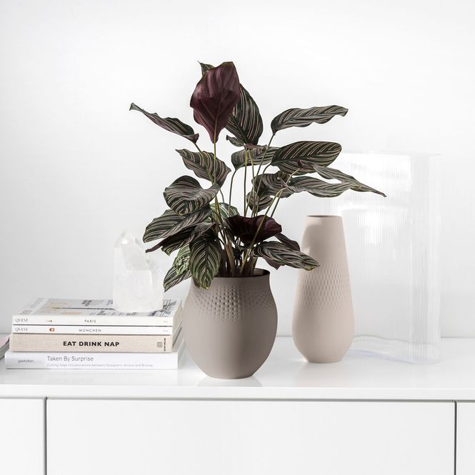 Hovedbilde Villeroy & Boch Manufacture Collier Vase Perle ...