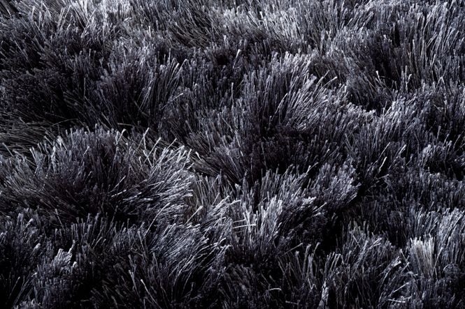 Hovedbilde Linie Design Maltino Teppe Grey 140/200 cm