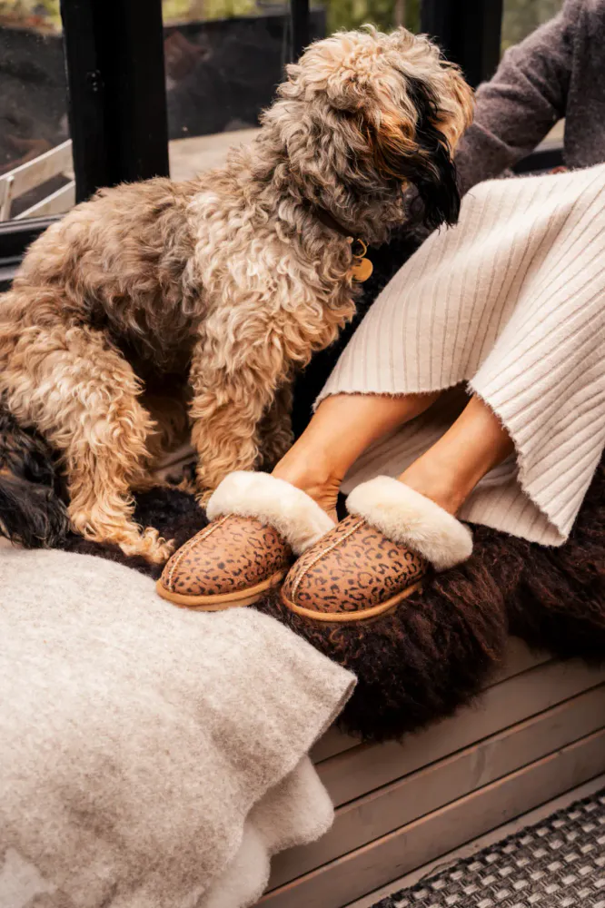 Shepherd Jessica Tøfler Leopard 