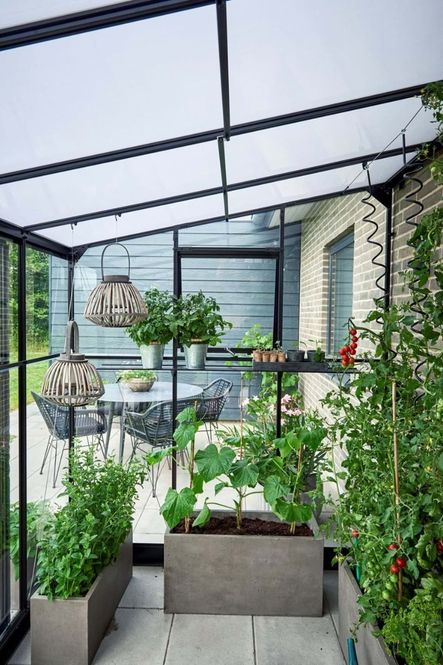 Hovedbilde Halls Drivhus Qube Lean-to Herdet Glass Sort 7,1 ...