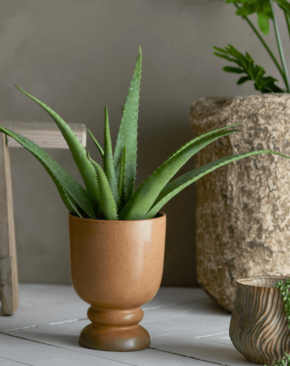 Bloomingville Aloe Kunstig Plante Grønn